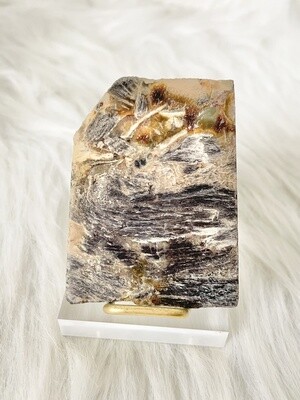 Many Minerals Pancawarna Agate