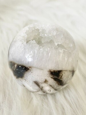 Tiger Mouth Tiger Dendritic Druzy Sphere