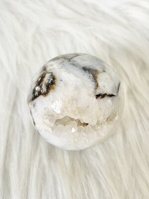 Sleeping Shark Tiger Dendritic Agate Sphere