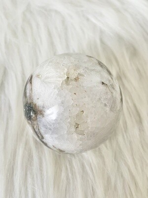 Sleeping Shark Tiger Dendritic Agate Sphere