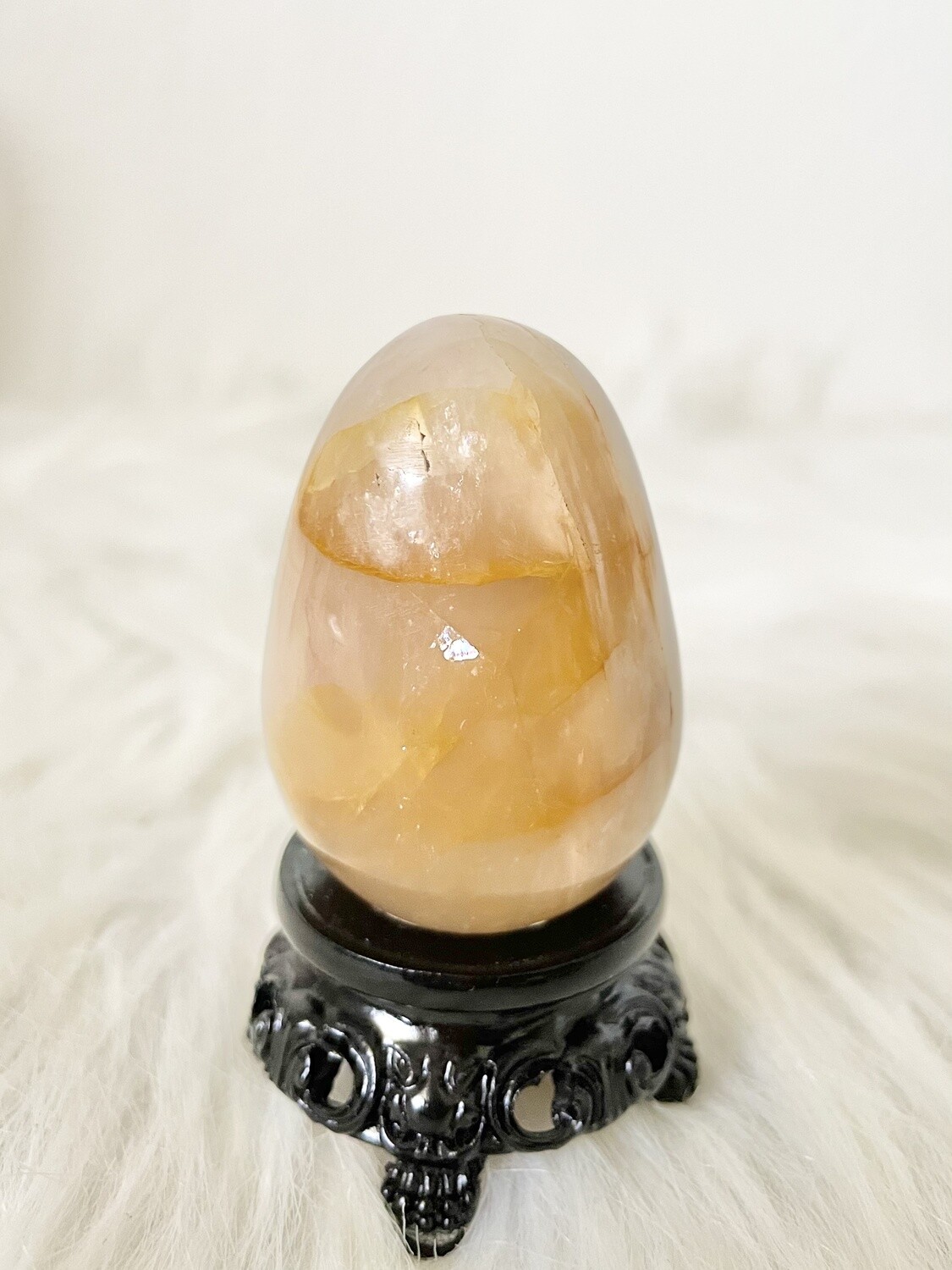 The One Golden Healer Egg