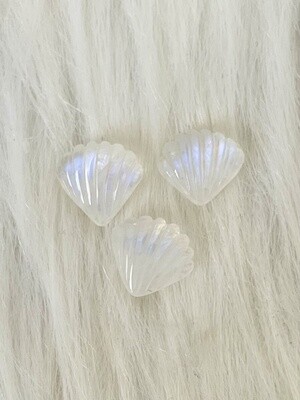Gleaming Shells Moonstone Shell Carvings