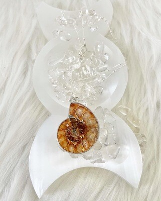 Nautilus Ammonite Fossil Necklace