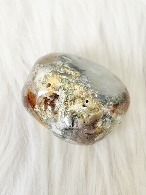 Ocean Jasper Palmstone