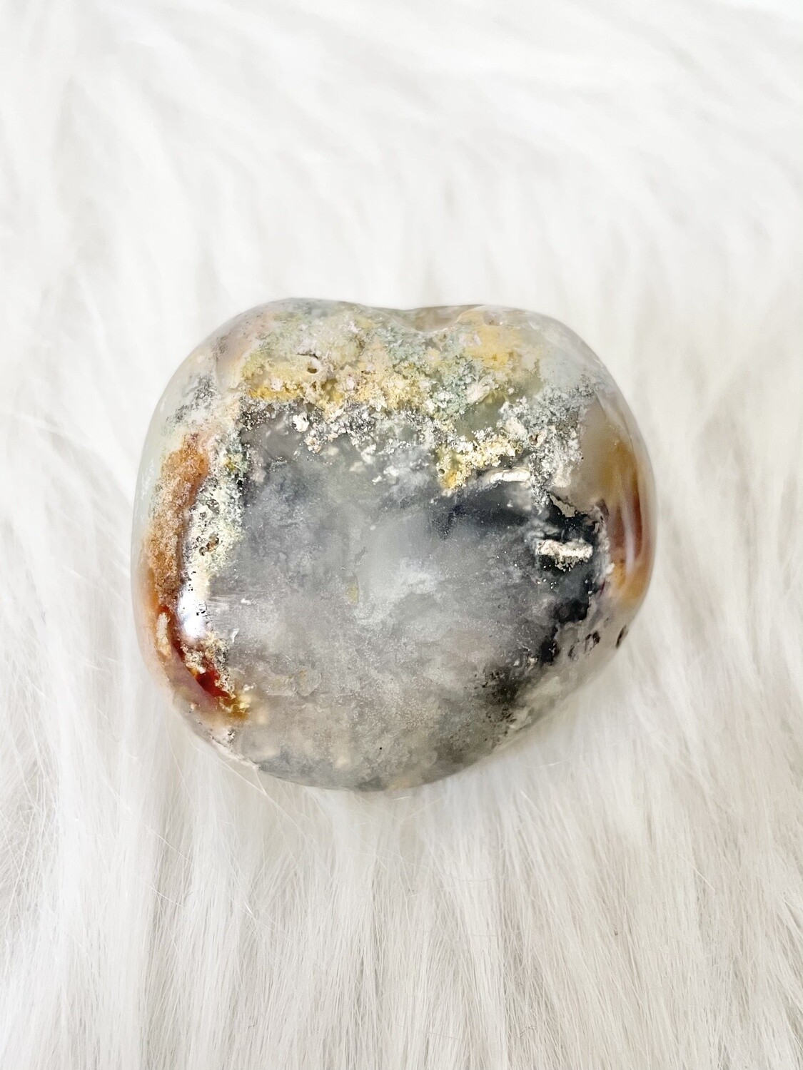 Ocean Jasper Palmstone