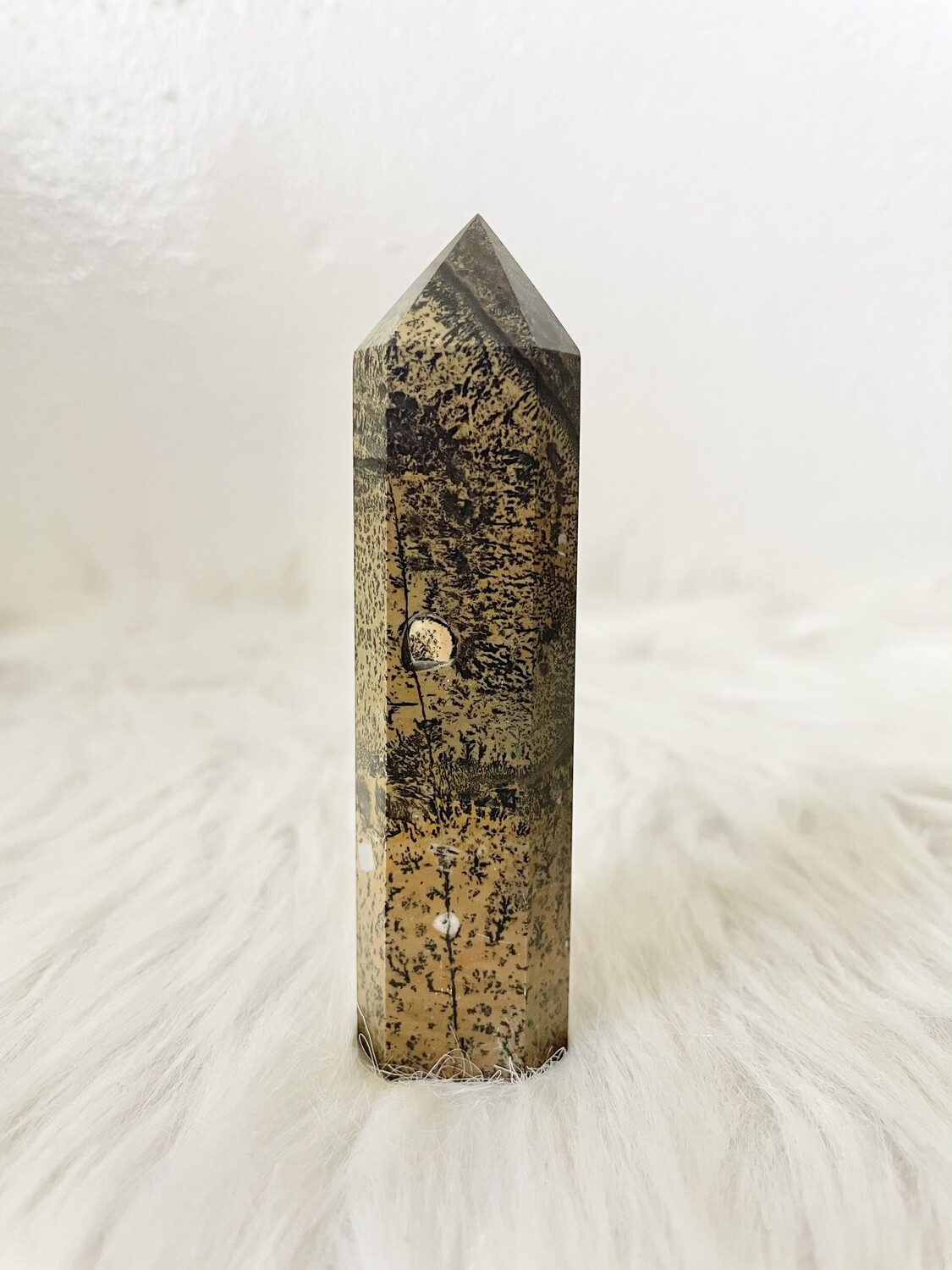 Creepy Forest Picture Jasper Tower