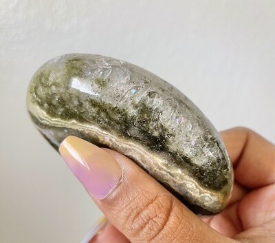 Rainbow Turtle Ocean Jasper Palmstone