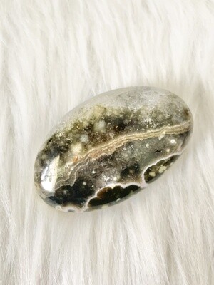 Rainbow Turtle Ocean Jasper Palmstone