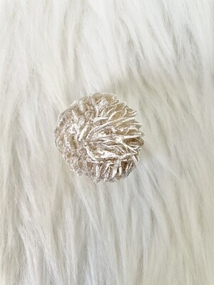Camel Gift Desert Rose