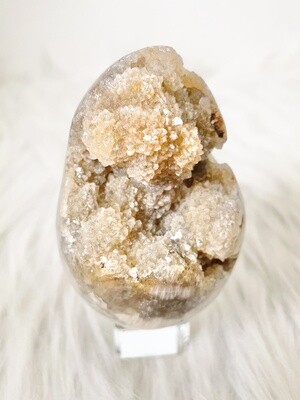 Alien Egg II Druzy Agate Egg with Fossilized Coral