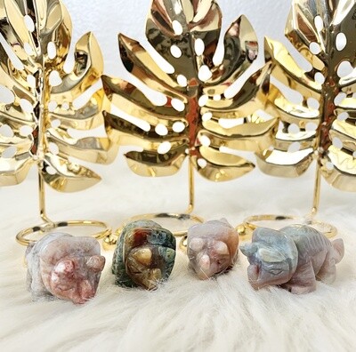 Triceratops Indian Moss Agate