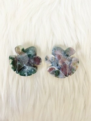 Ranitomeya Indian Moss Agate Frogs