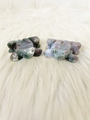 Ranitomeya Indian Moss Agate Frogs