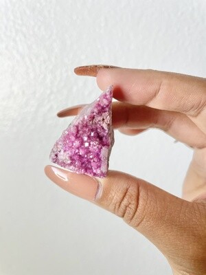Shark Among Seaweed Cobaltoan Calcite