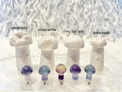 Mushroom Fantasy