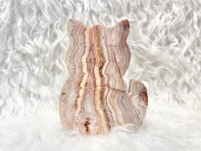 Bella Crazy Pink Lace Jasper Druzy Cat