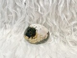 Puffy Clouds Ocean Jasper