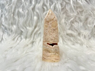Sunny Desert Crazy Lace Jasper