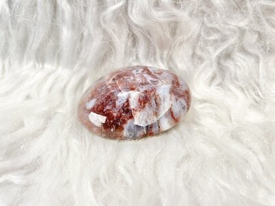 Robin Ocean Jasper