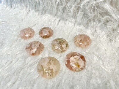 Currency Flower Agate Rounds