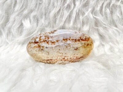 Sesame Seed Bun Ocean Jasper