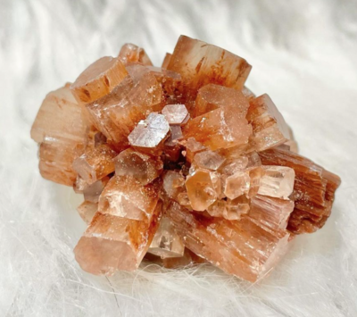 Brains Aragonite Sputniks