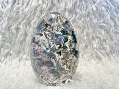 Holiday Destinations Ocean Jasper Freeforms