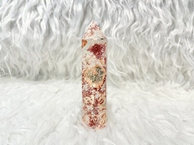 Red Rock Canyon Leoparskin Jasper