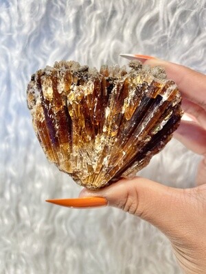 Scallop Amber Calcite