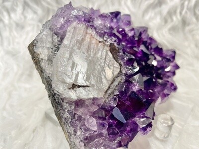 Grape Jelly Pizza Grape Amethyst with Calcite