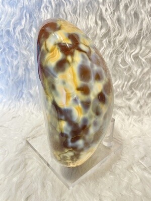 Whale of a Time Orca Agate