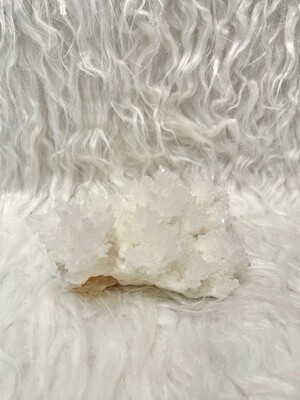 Snowing in Mexico Mexican Aragonite