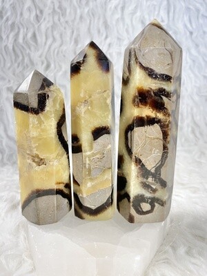 Leopard Spots Septarian Towers