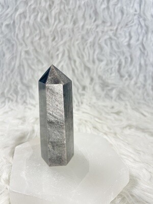 Silver Coat Silver Obsidian Towers