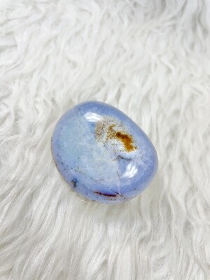 Ocean Bean Ocean Jasper Palmstone