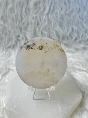 Lonely Earthworm Dendritic Agate Round