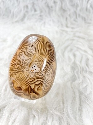 Wild Leopard Prints Sardonyx Palm