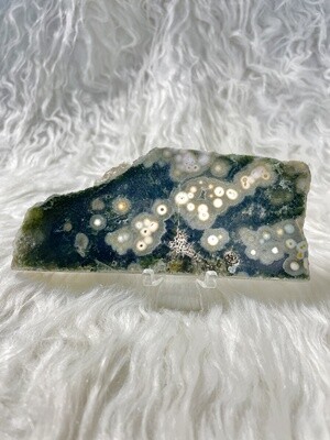 Turtle Eggs Ocean Jasper Slab