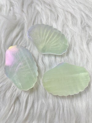 She Sells Seashells Aura Selenite Trinket Shell Dish