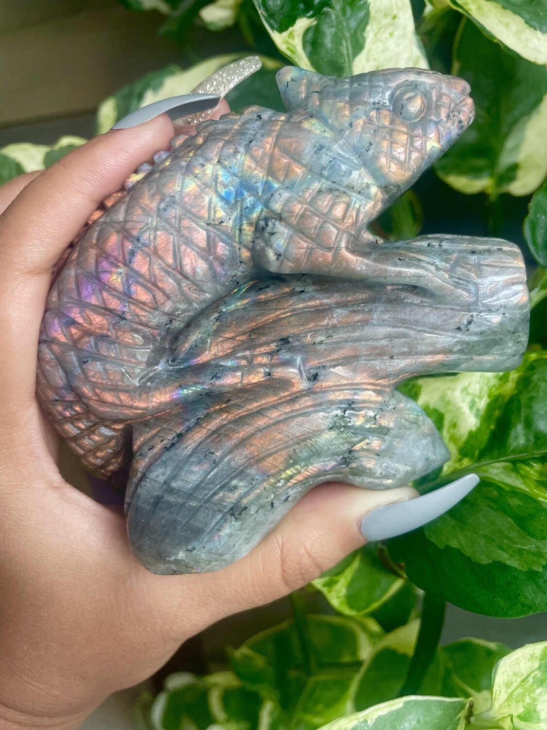 Rango the Labradorite Chameleon