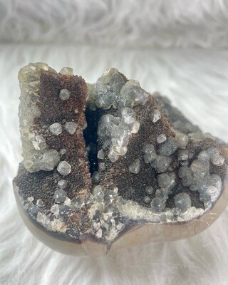 Licky Septarian Nodule