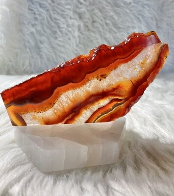 Fiery Dragon Carnelian Slab