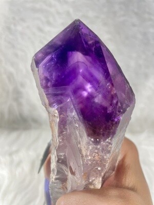 Wizard Scepter Amethyst Root