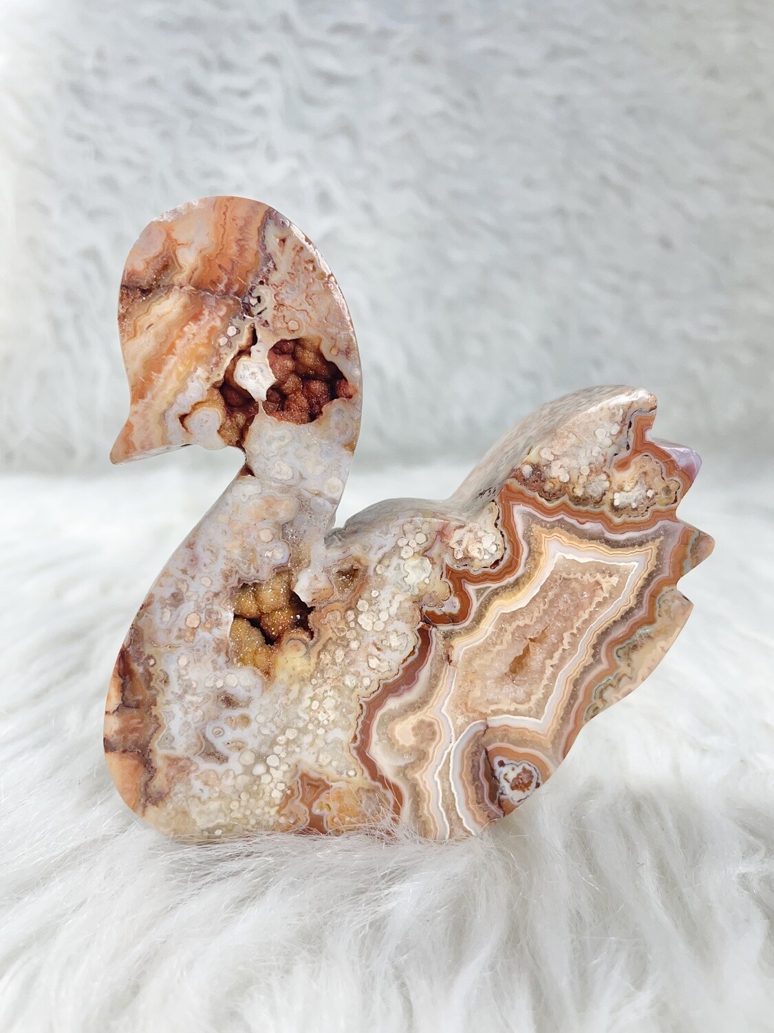 Mythical Crazy Lace Agate Duck