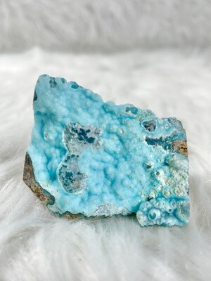 Trees by the Ocean Hemimorphite with Dendrites