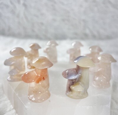 Faerie Mushies Flower Agate Mushrooms