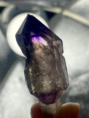 Melody Super 7 HQ Scepter