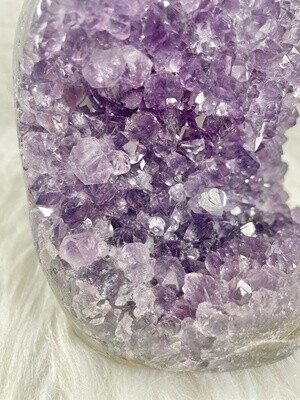 Uruguayan Lady Amethyst Freeform