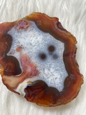 Face in the Tree Carnelian Slab