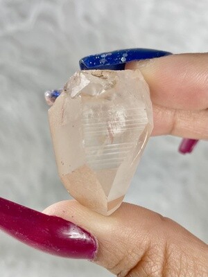 Code Pink Lemurian